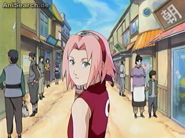 sakura 6