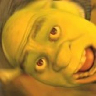 Shrek_Forever_After_1264089760_4_2010