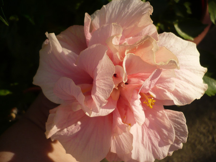 P1160276