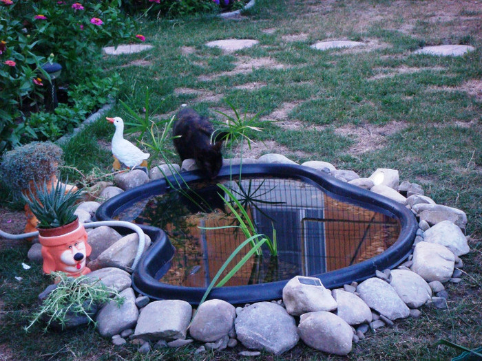 iazul la un nou inceput