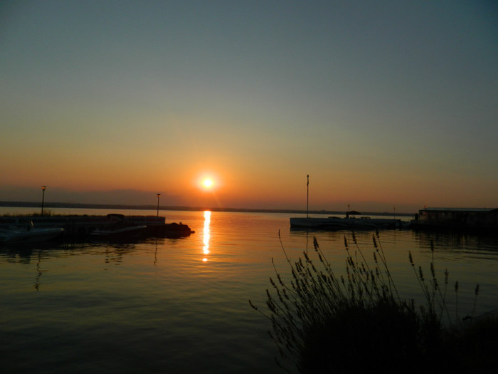 DSCN8617