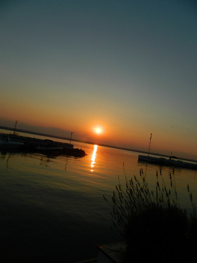 DSCN8618