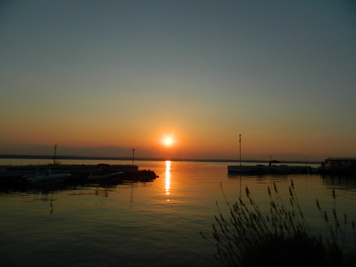 DSCN8619