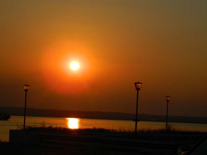 DSCN8622