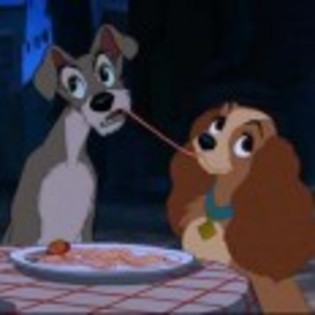 Lady_and_the_Tramp_1238334215_1_1955