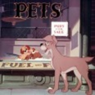 Lady_and_the_Tramp_1238334215_2_1955