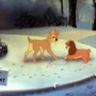 Lady_and_the_Tramp_1238334216_3_1955