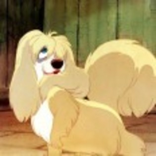 Lady_and_the_Tramp_1238334216_4_1955