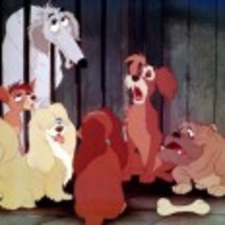 Lady_and_the_Tramp_1238334331_1_1955