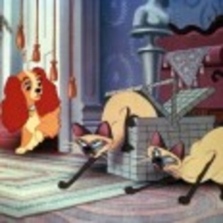 Lady_and_the_Tramp_1238334332_4_1955