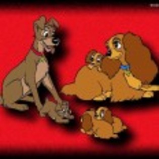 Lady_and_the_Tramp_1247666108_3_1955
