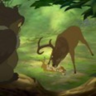 Bambi_II_1265182161_0_2006