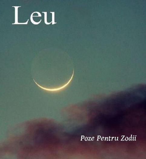 9 - leu