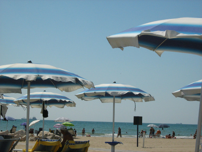 Alberoni spiaggia