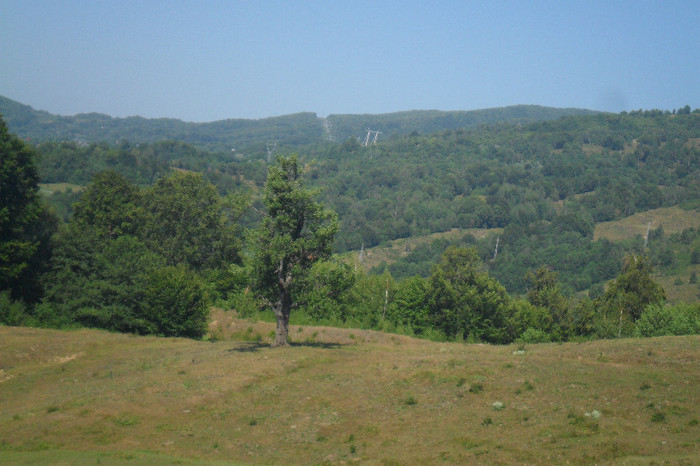 fagaras