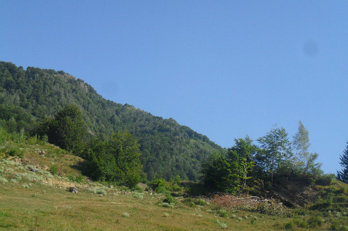 fagaras