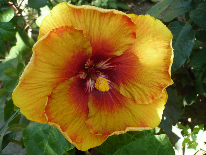 P1160325