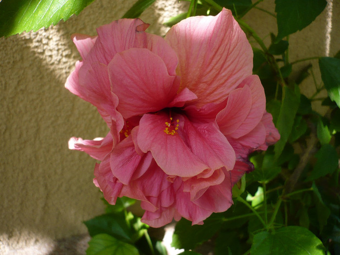 P1160332