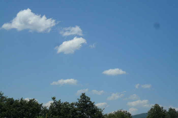 fagaras