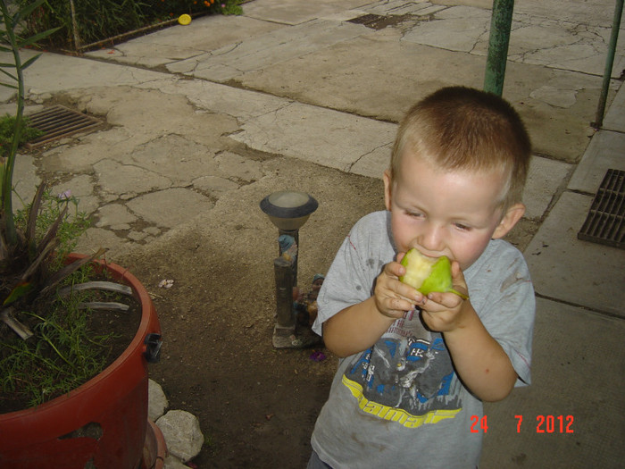 poze 782 - 0-HORIA la bunici