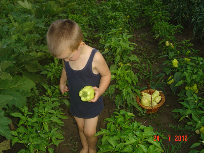 poze 789 - 0-HORIA la bunici