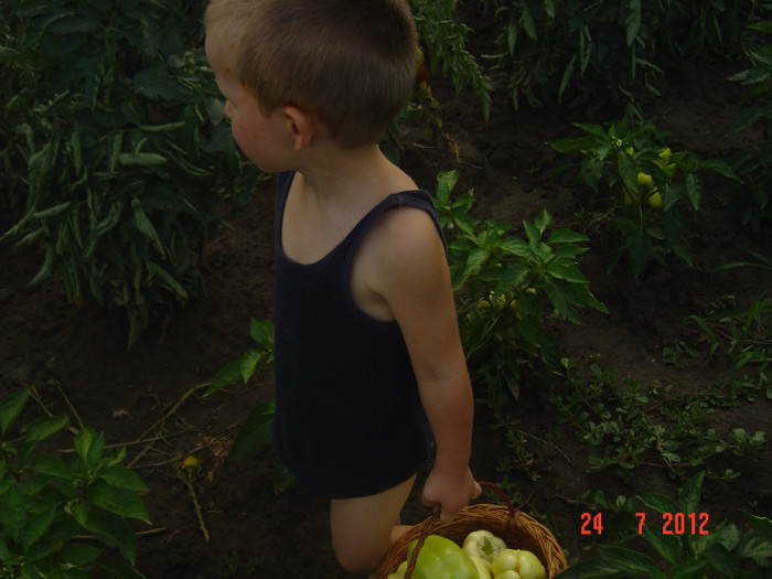 poze 790 - 0-HORIA la bunici