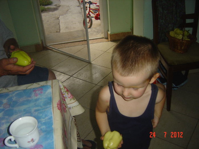 poze 794 - 0-HORIA la bunici