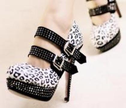 animal-print-fashion-heels-kvoll-shoes-453124 - art