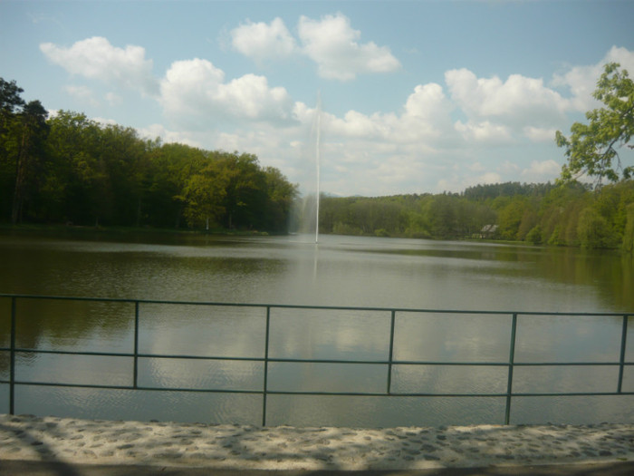 Lacul de langa Gradina zoo - la gradina zoologica Sibiu