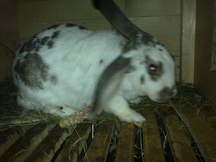 acum la 2 ani si 10 luni