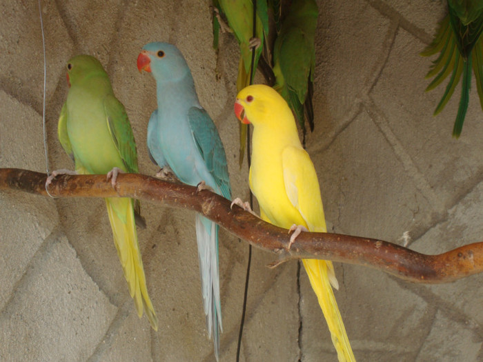 DSC00218