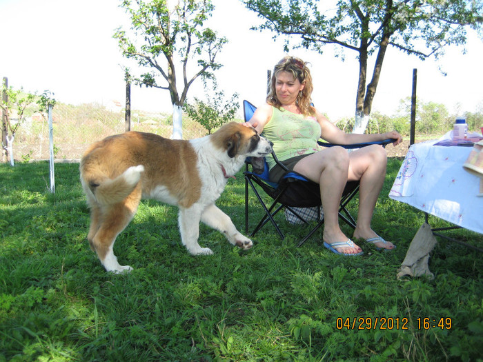 IMG_0023 - cainii mei