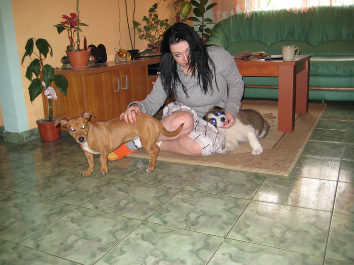 IMG_0633 - cainii mei