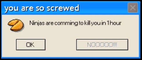 Ninja Error