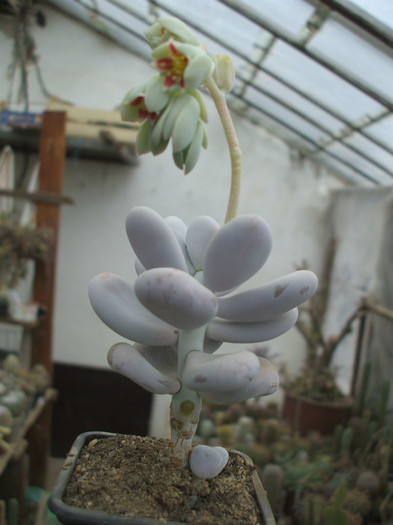 DSCF2861