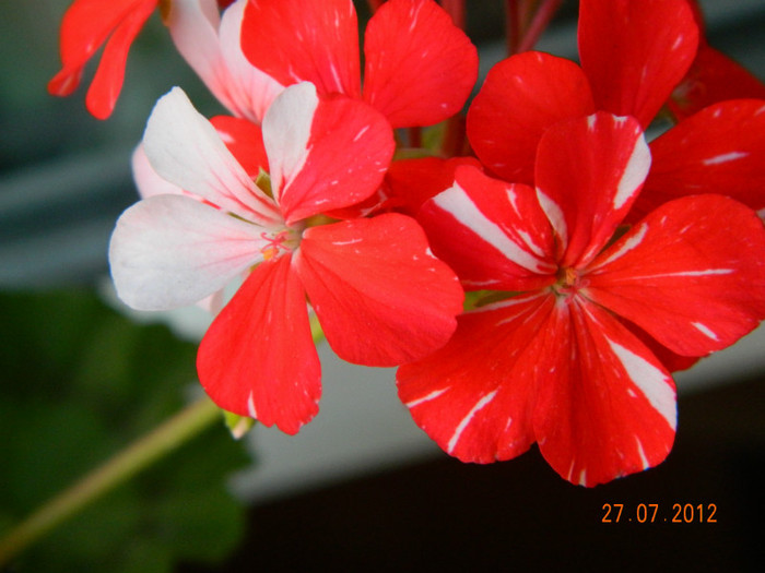 DSCN1220