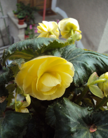 DSC08470