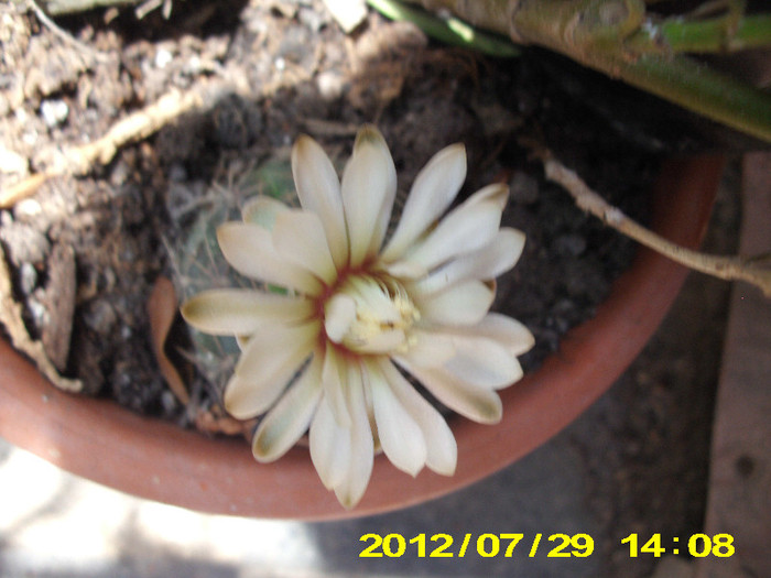 2012-07-08 085