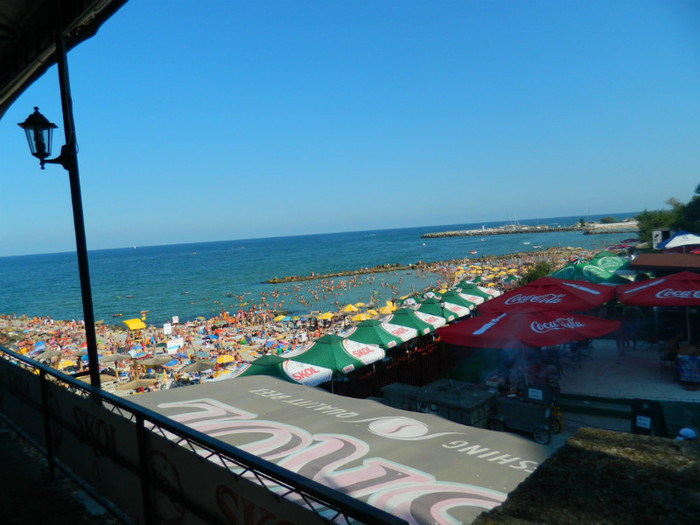 DSCN8626