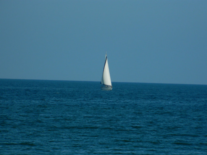 DSCN8636