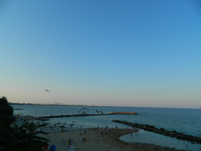 DSCN8700
