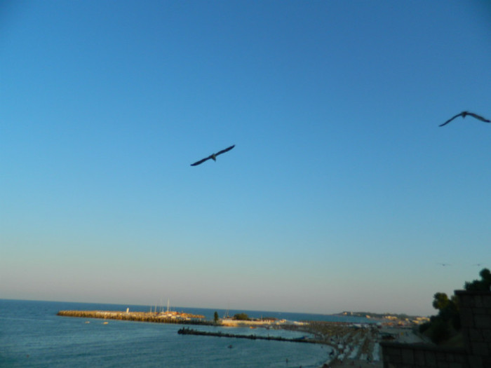 DSCN8701