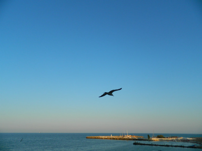 DSCN8703