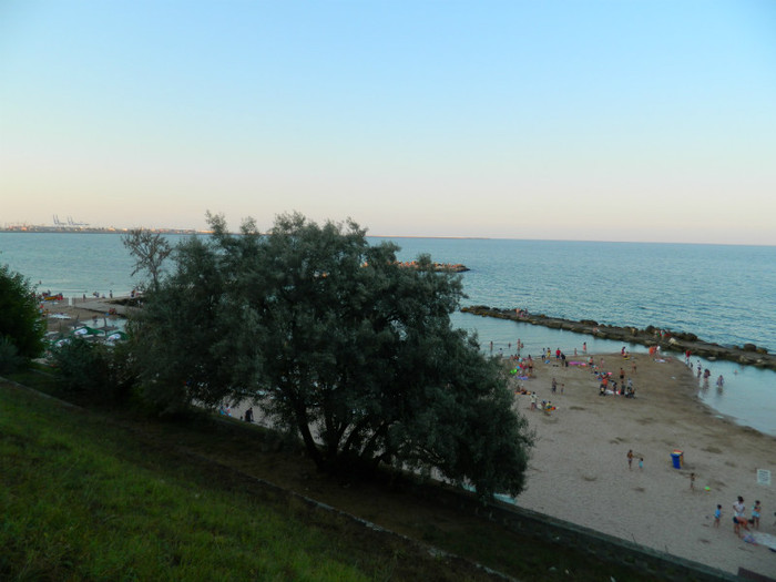 DSCN8706