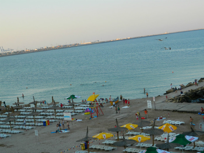 DSCN8709