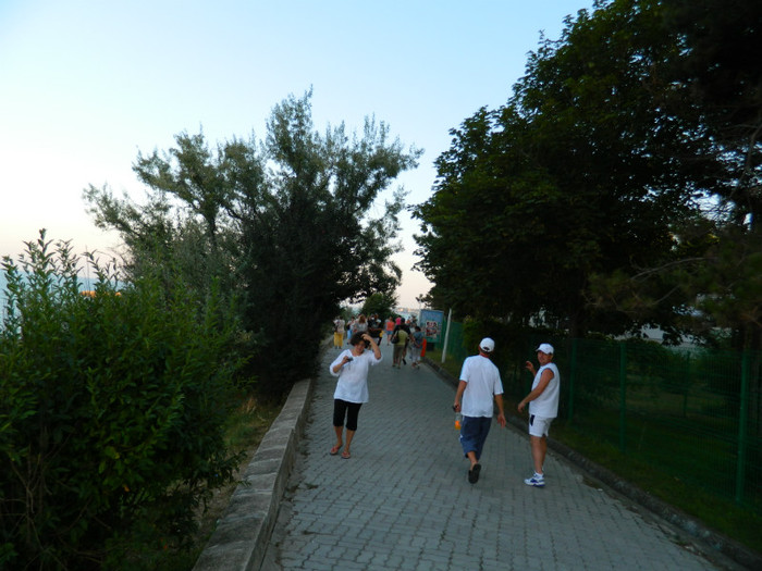 DSCN8713