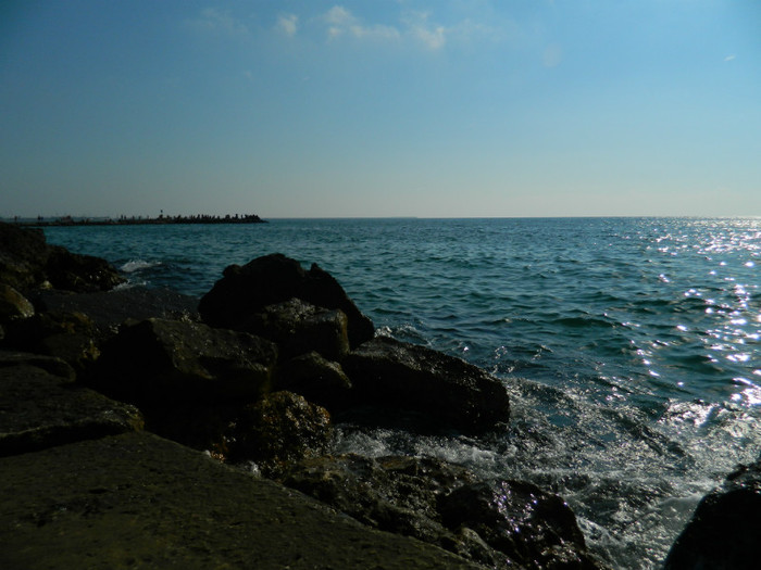 DSCN8718