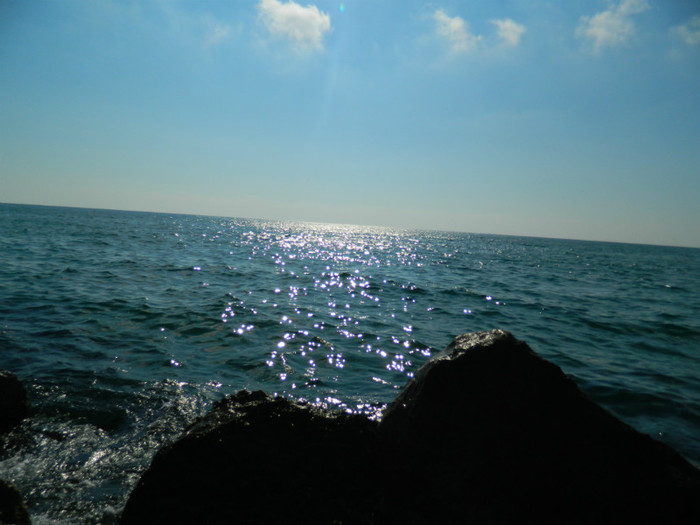 DSCN8720