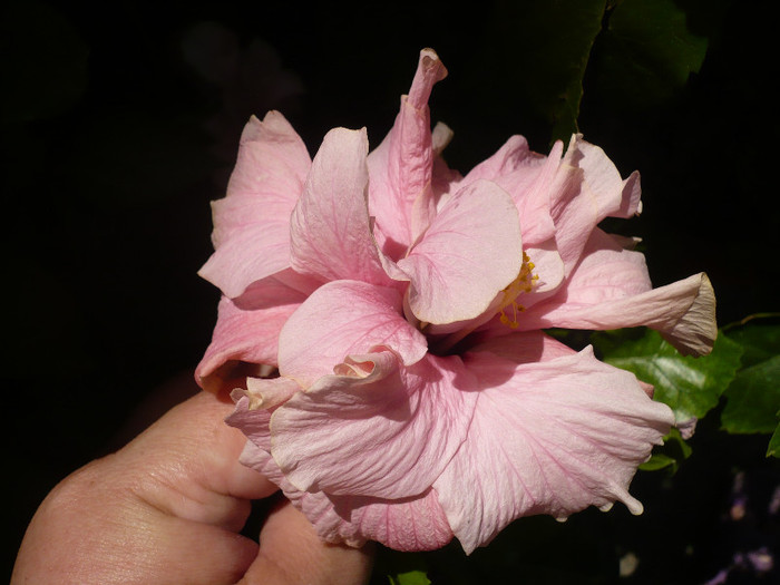 P1160354