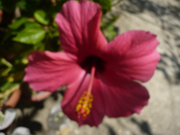 P1160360